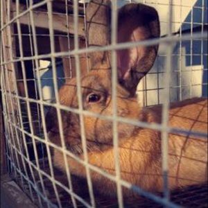 Meet your Posher, Alexandra